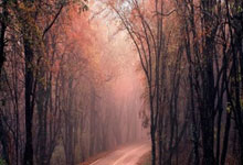 PG电子：领先12分也不保险！英超战火重燃，三大隐患困扰红军，还真输不的.