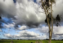 PG电子：WTT仁川冠军赛4月1日至6日赛程，国乒林高远领衔7人出战.