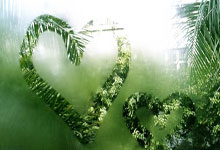 PG电子：药厂名宿：维尔茨会留队，在这再赢次德甲比在拜仁赢第30个有意义.